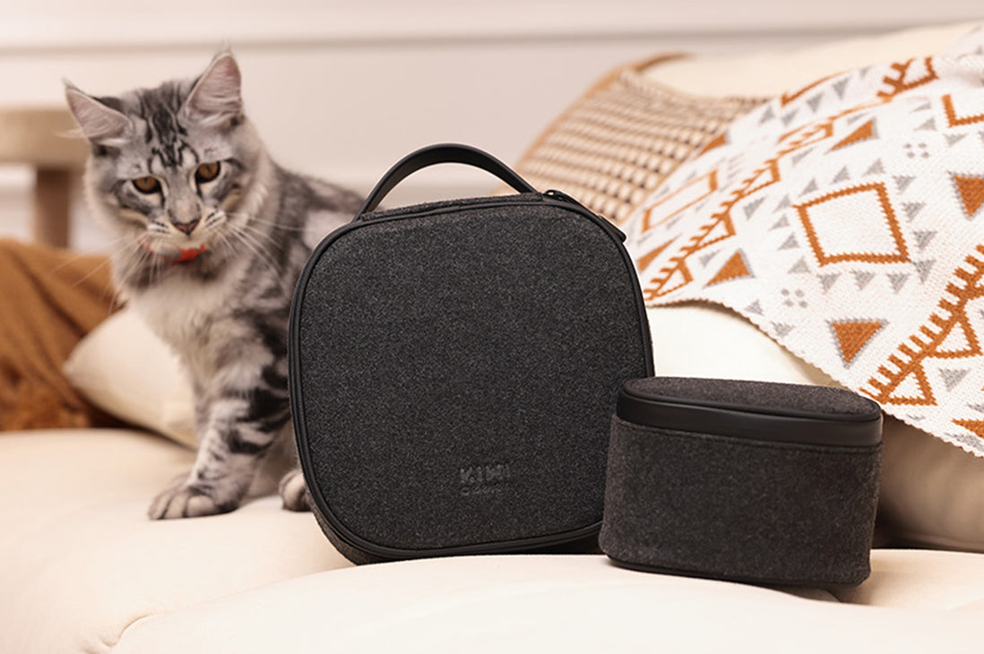 Steam Frame Carrying Case: A Practical Guide to the KIWI design P4